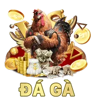 Dịch vụ khách hàng chuyên nghiệp okking99